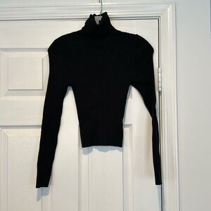 Fitted Turtleneck Sweater